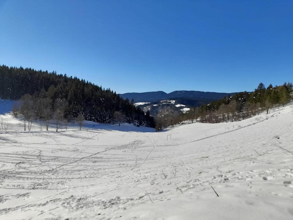 Les Glovettes Villard De Lans Bagian luar foto